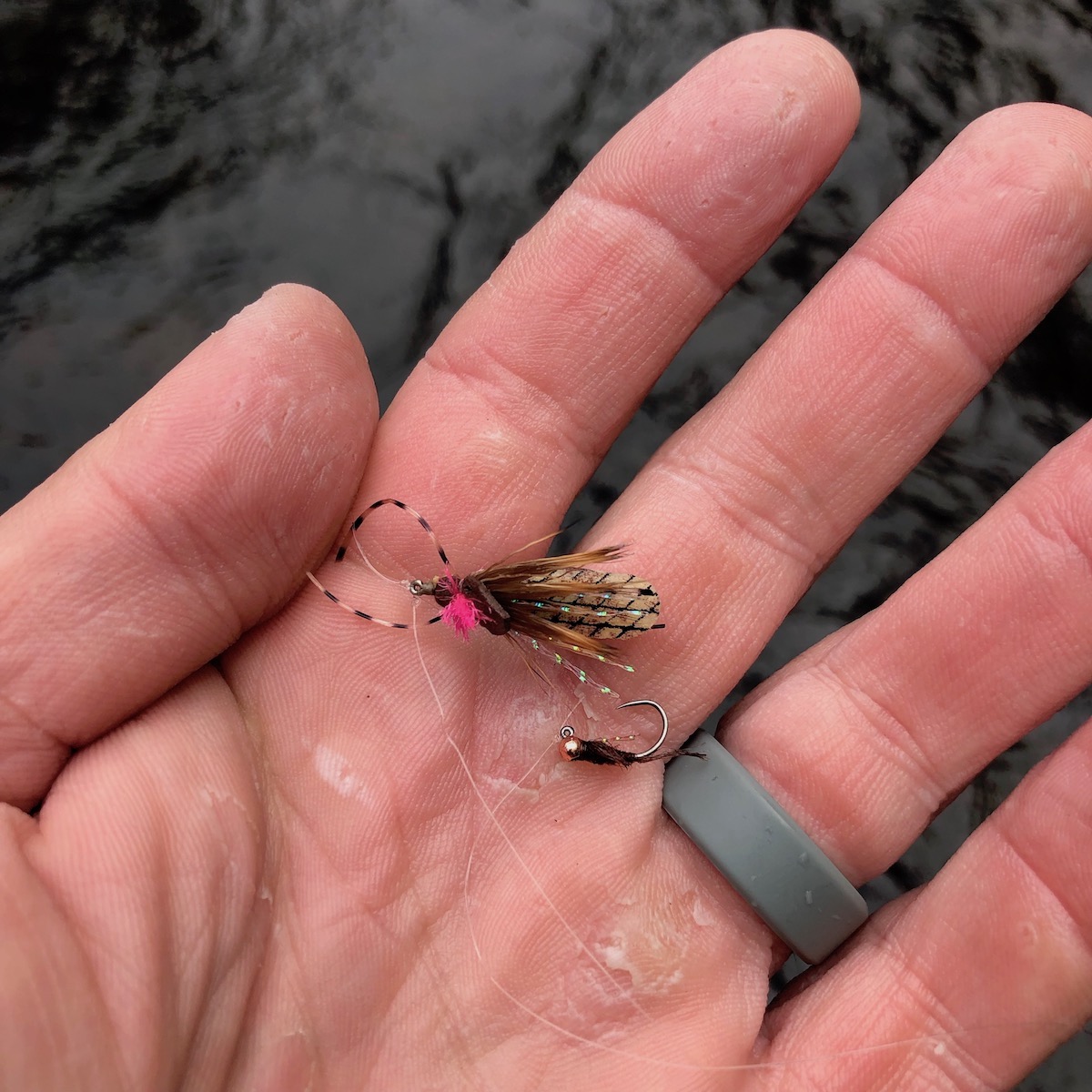 Don't Lead Me On: Tippet Length For Dry Flies - Fly Fishing